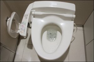 Sanibroyeur toilette