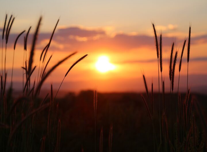 coucher de soleil