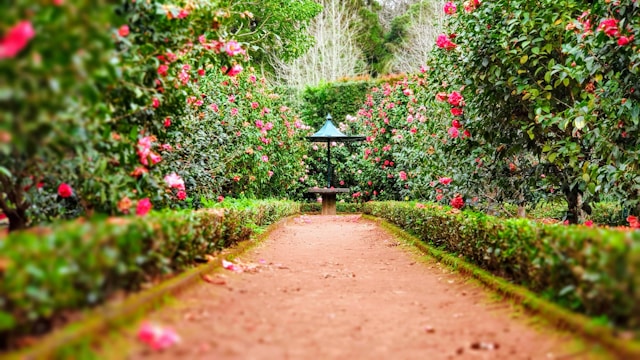 entretien de jardin
