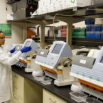 Technicien vs Technologue