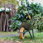 Un chariot rempli de branches vertes sur gazon près d'un tas de bois