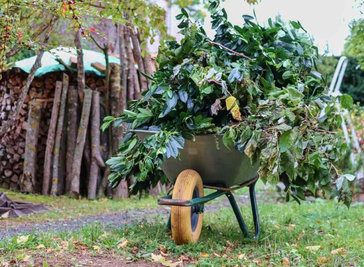 Un chariot rempli de branches vertes sur gazon près d'un tas de bois