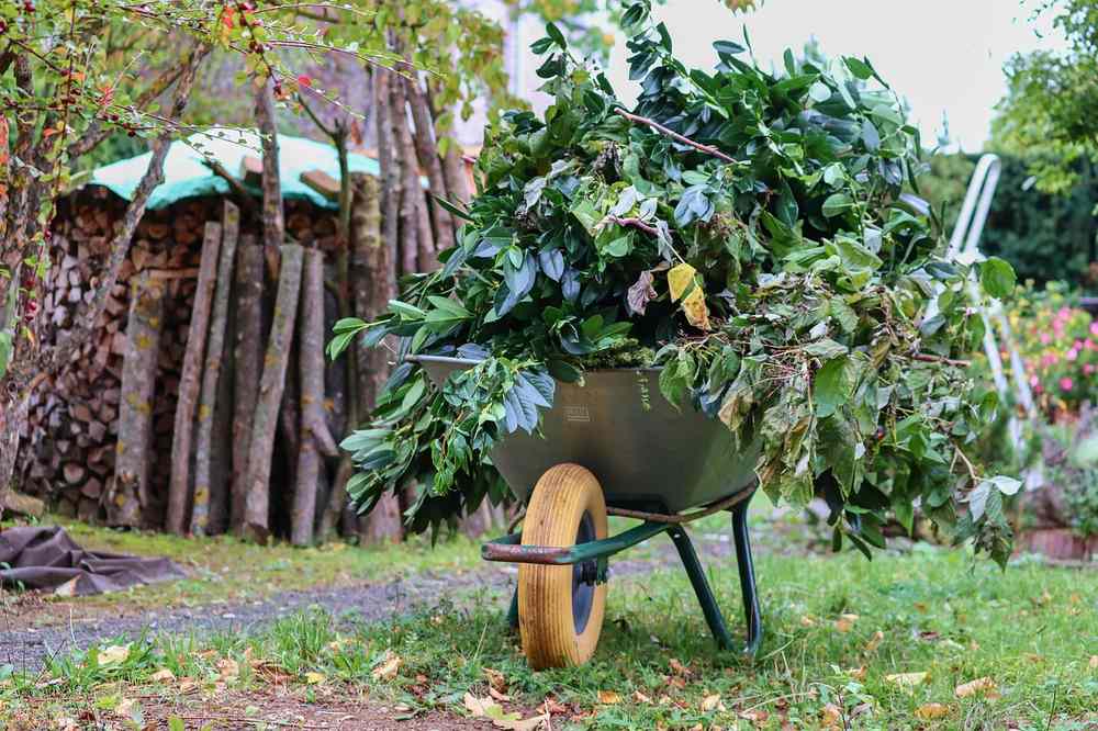 Un chariot rempli de branches vertes sur gazon près d'un tas de bois