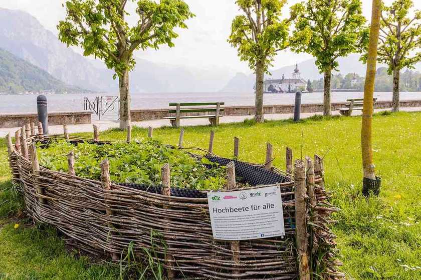 Potager surélevé : bien préparer la première récolte de printemps