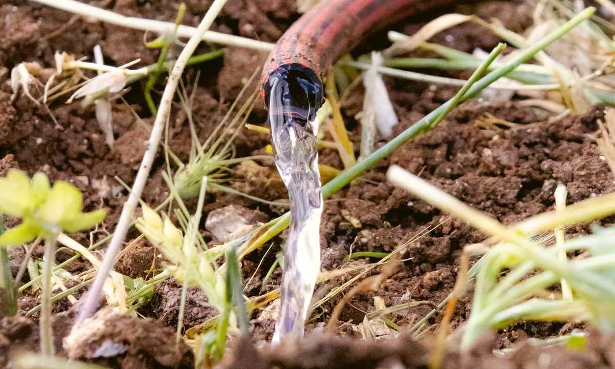 Eau coule d'un tuyau rouge sur du sol avec des herbes vertes